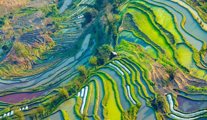 宝妈必备神器：康县产品视频拍摄轻松育儿好帮手